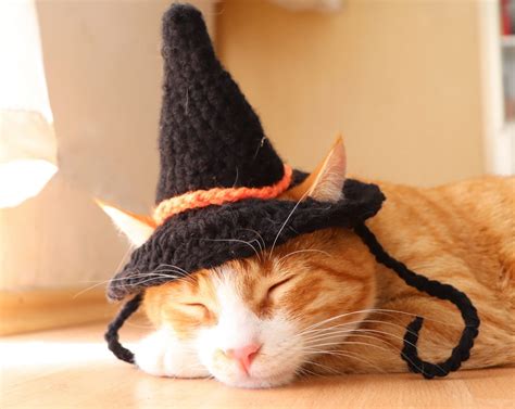 Braided kitty witch hat